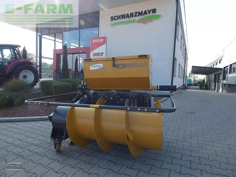 Mammut fm fortuna links euro