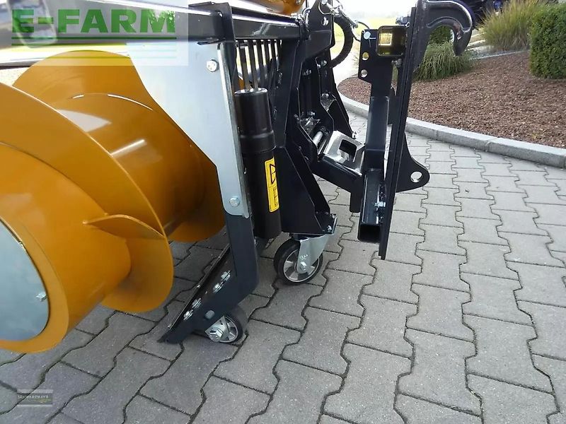 Mammut fm fortuna links euro