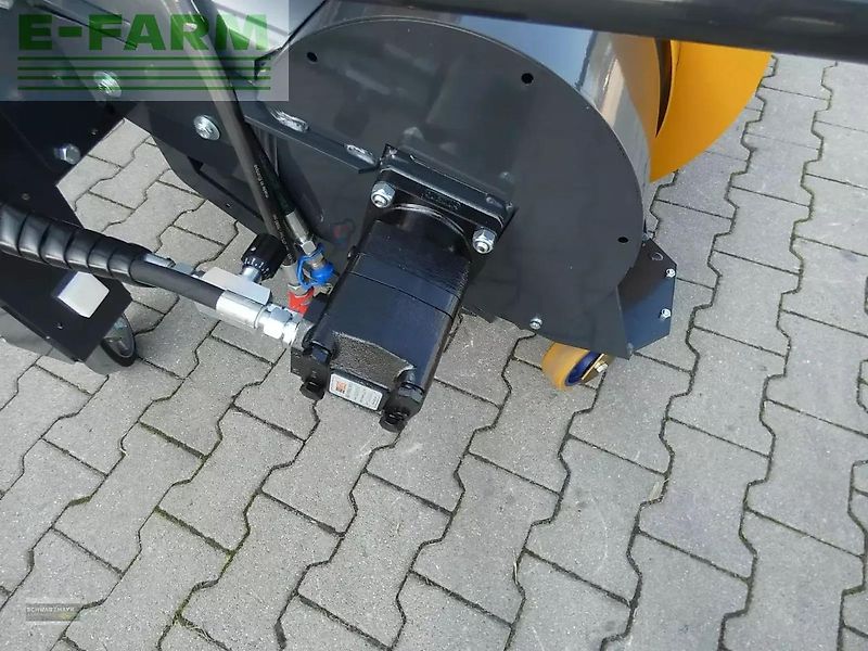 Mammut fm fortuna links euro