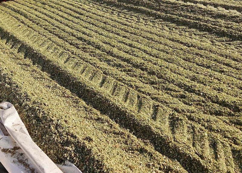 Mammut Silagewalze SK 300 H mit Kantenverdichter rechts