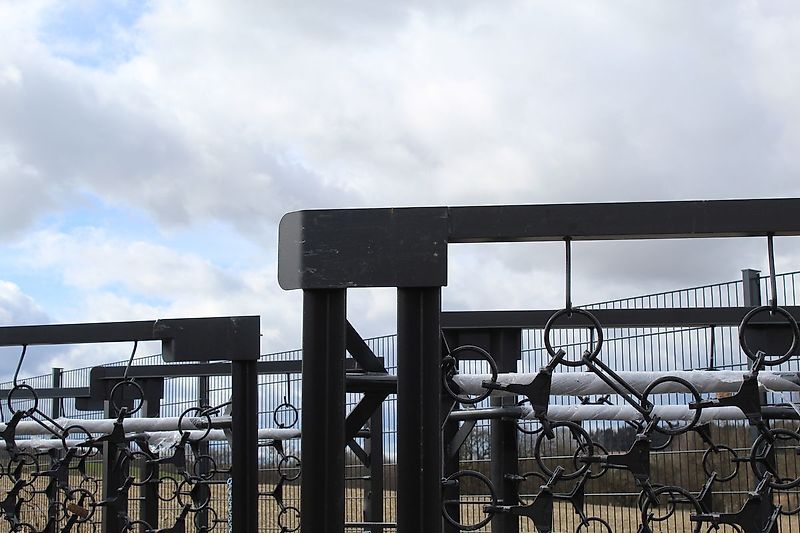 SAT Wiesenschleppe, Wiesenegge - Aktion