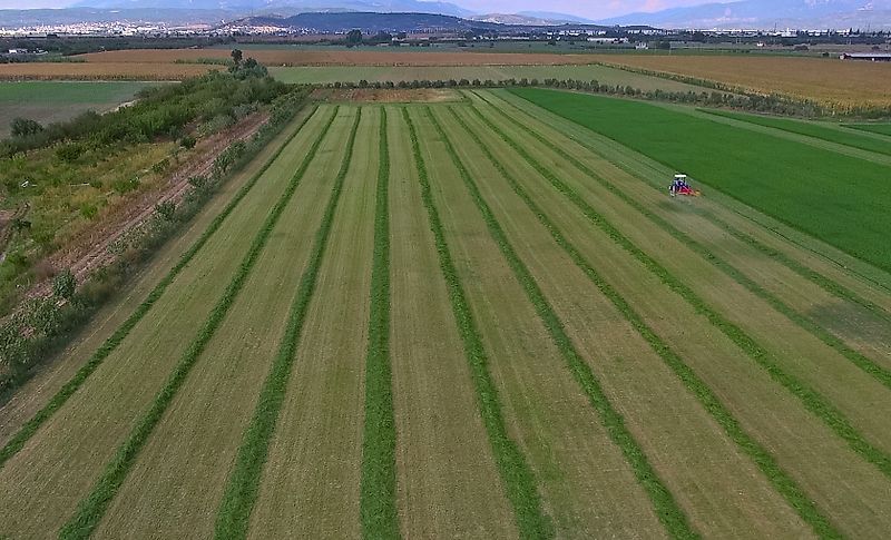 Minos Agri Schwader T-OT 370-9 **NEU**